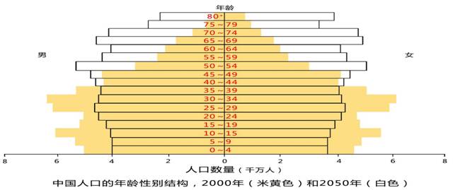 年龄比较