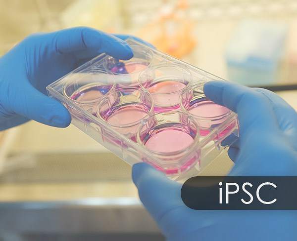 专注iPSC诱导多能干细胞技术，「艾尔普」完成5000万A+轮融资