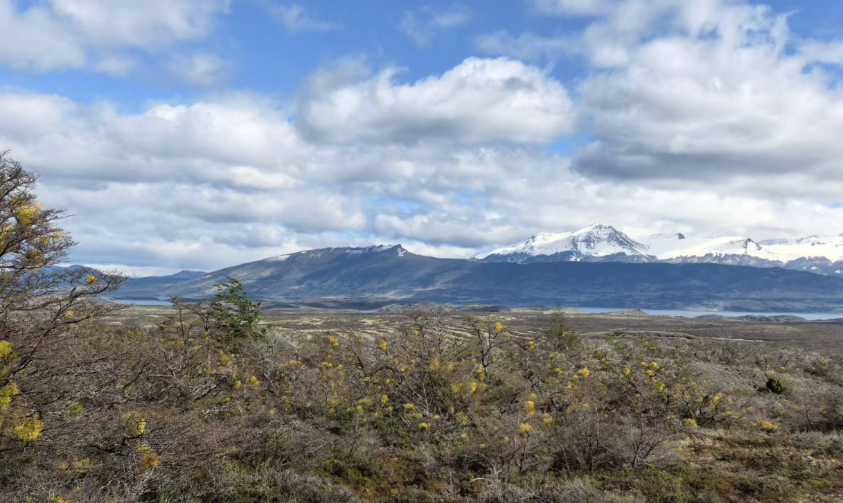 1760411336534302.png ScreenShot_2025-10-14_110845_772.png