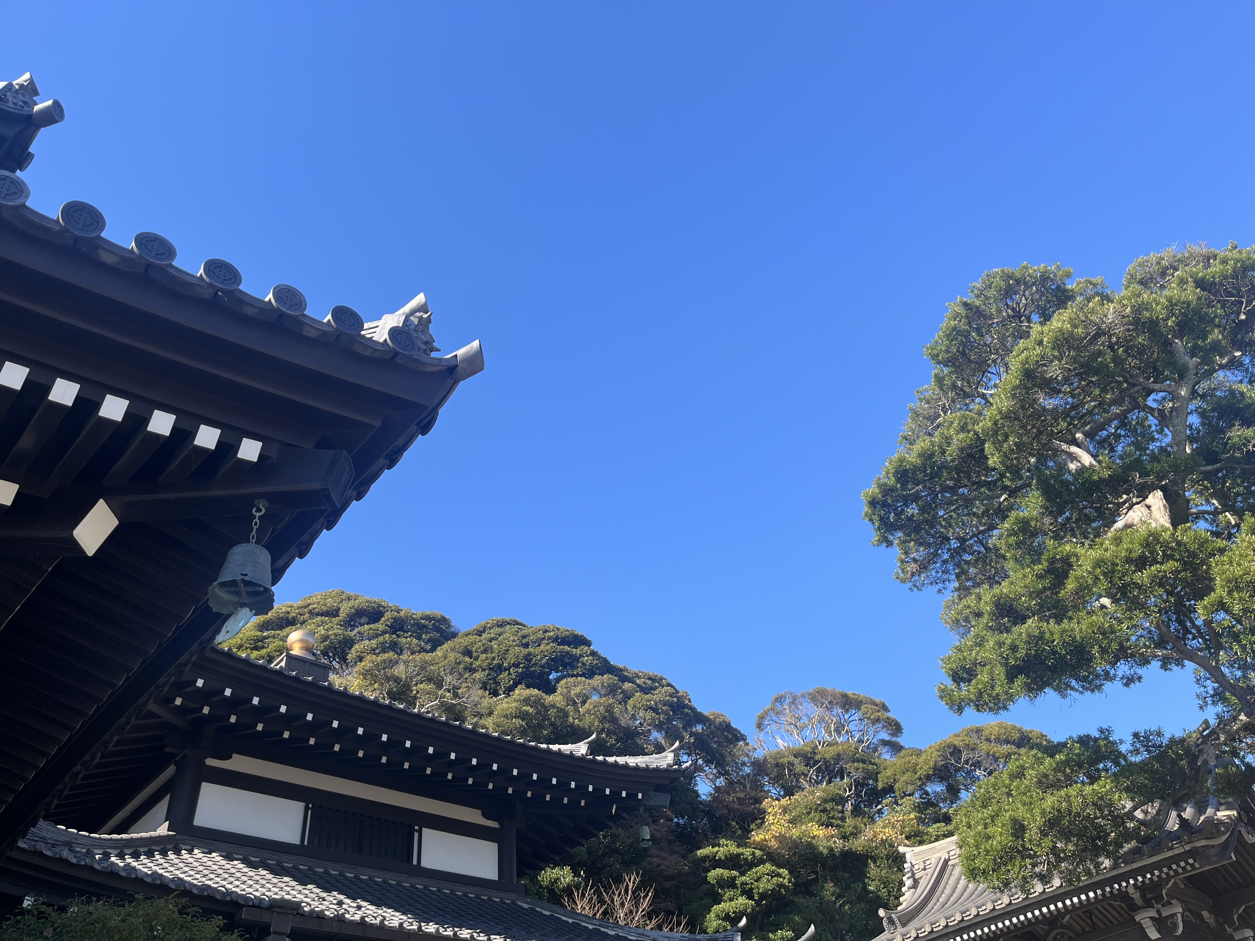 1765157855645033.jpg 微信图片_20251205112431_901_2224.jpg