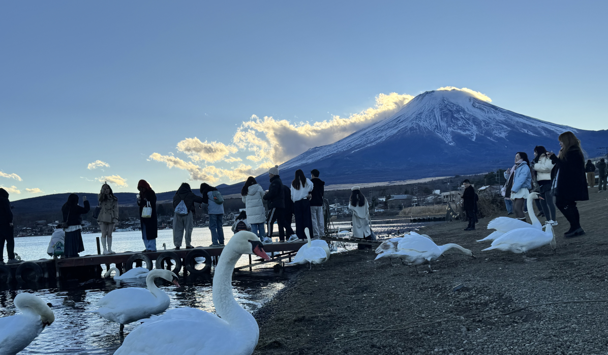 1765158107671896.png ScreenShot_2025-12-08_094140_574.png