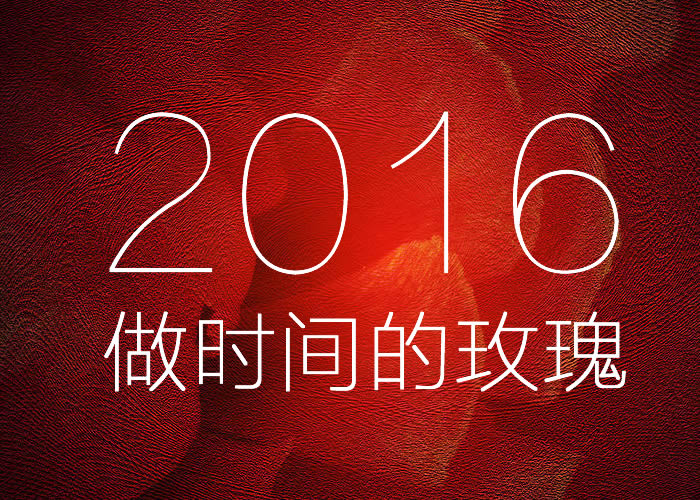 2016，做时间的玫瑰